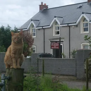 Bay Crumlin (Antrim)