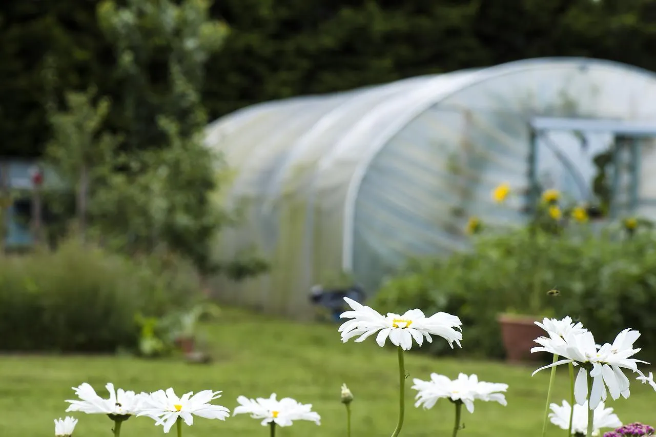 Peartree Hill Bed & Breakfast Dundonald